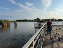 Родились в рубашке: люди, рожденные в эти числа, находятся под особой защитой особого ангела-хранителя