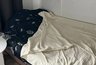 Миниатюра новости: Перестали болеть всей семьей: китаянка посоветовала убрать 11 вещей из дома — метод работает, даже если не веришь
