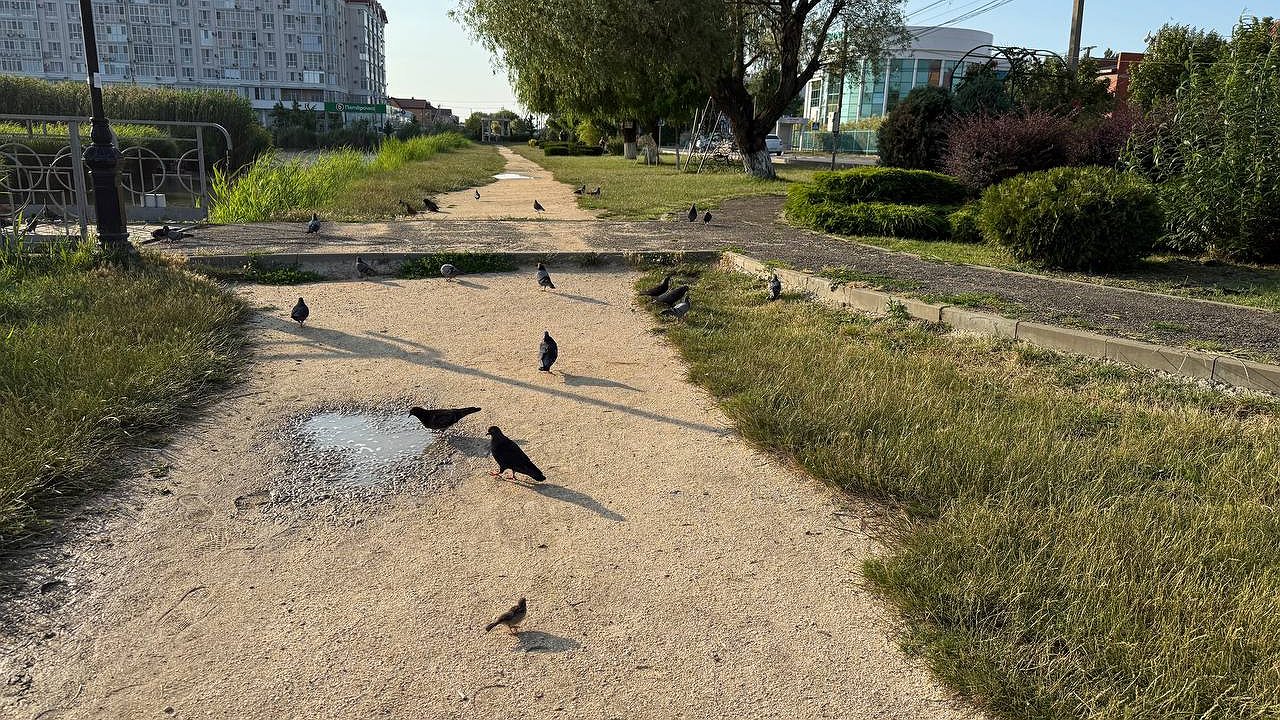 Главная картинка новости: Гидрометцентр предупреждает: в августе нас ждет адская погода - подробный прогноз