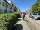 Эти фамилии на Руси носили холопы. Проверьте, имеется ли ваша в списке