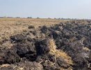 Сильный запах в Крымске будет ощущаться до сентября
