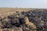 Миниатюра новости: Сильный запах в Крымске будет ощущаться до сентября