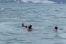 Миниатюра новости: Штормовое море едва не унесло жизни: две опасные спасательные операции в Новороссийске за неделю