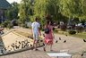Миниатюра новости: В этом русском слове целых семь букв "О" - не поверите, но мы его слышим ежедневно