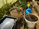 Вода для полива станет платной: дачникам объявили новые тарифы