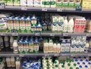 Шок-проверка: в популярном кефире нашли кишечную палочку. Полный список опасных марок