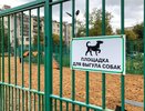 Сколько раз в день нужно выгуливать собаку — ответил ветеринар