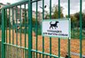 Миниатюра новости: Сколько раз в день нужно выгуливать собаку — ответил ветеринар