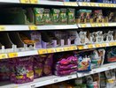 "Прекратите травить кошек": в Роскачестве назвали самые опасные марки корма для питомцев