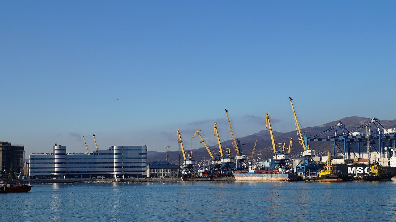 Главная картинка новости: В Новороссийске поймали мошенников с фирмами-пустышками