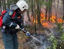 Новороссийск в огненной ловушке: за нарушение запрета — огромные штрафы