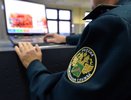 Новороссийские таможенники выявили масштабную попытку ввоза контрафактных автодеталей