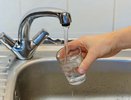 Жители Южного района Новороссийска обнаружили в воде «головастиков»