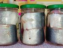 Рыбные консервы всегда держу в холодильнике: делаю из них такую "вкуснятину" - на ужин, к приходу гостей