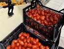 Перестала хранить помидоры в холодильнике — соседка раскрыла секрет свежести на 2-3 месяца