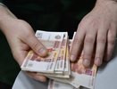 До 215 тысяч рублей: названы самые высокие зарплаты в агросекторе Кубани