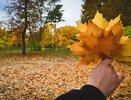 Россиян ожидает аномальная осень: синоптики предупредили об исчезновении бабьего лета в 2025 году