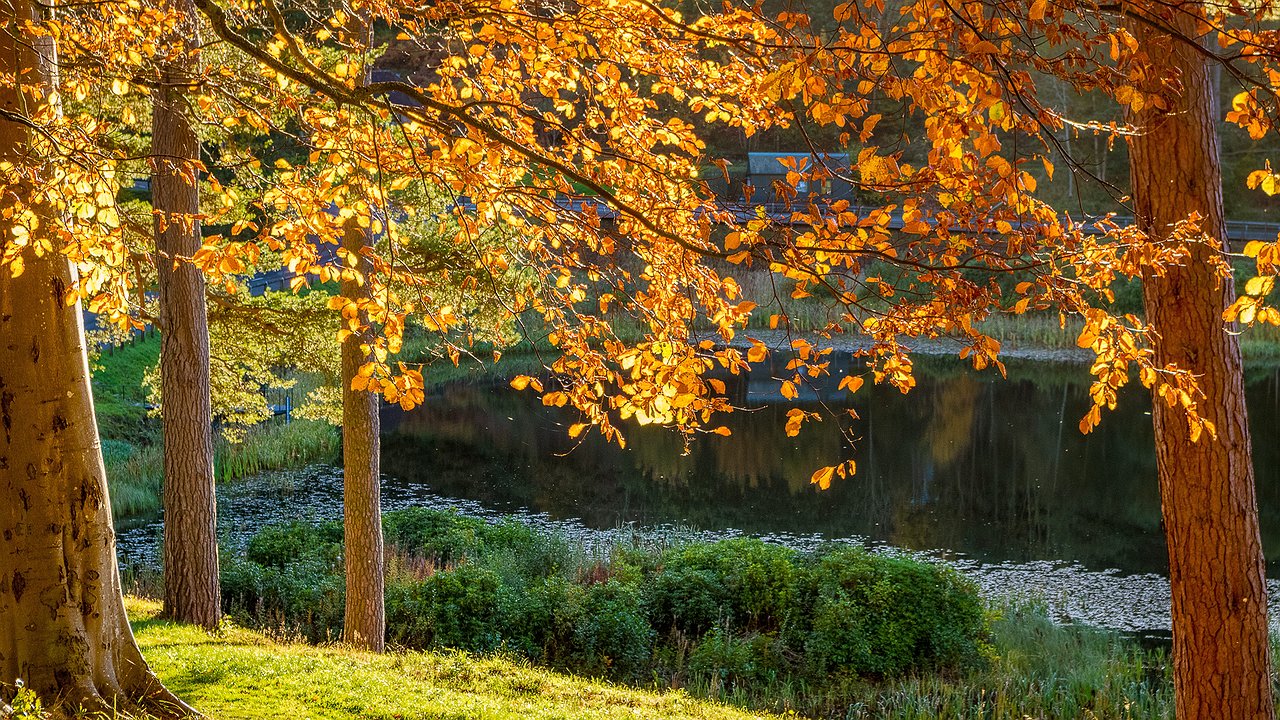 Главная картинка новости: Бабье лето-2025: синоптики объявили точные даты золотой осени в России
