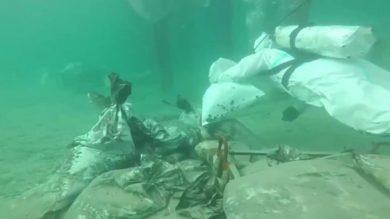 Главная картинка новости: Со дна у Анапы подняли гигантское «кладбище» мазута: водолазы собрали уже 20 тысяч мешков