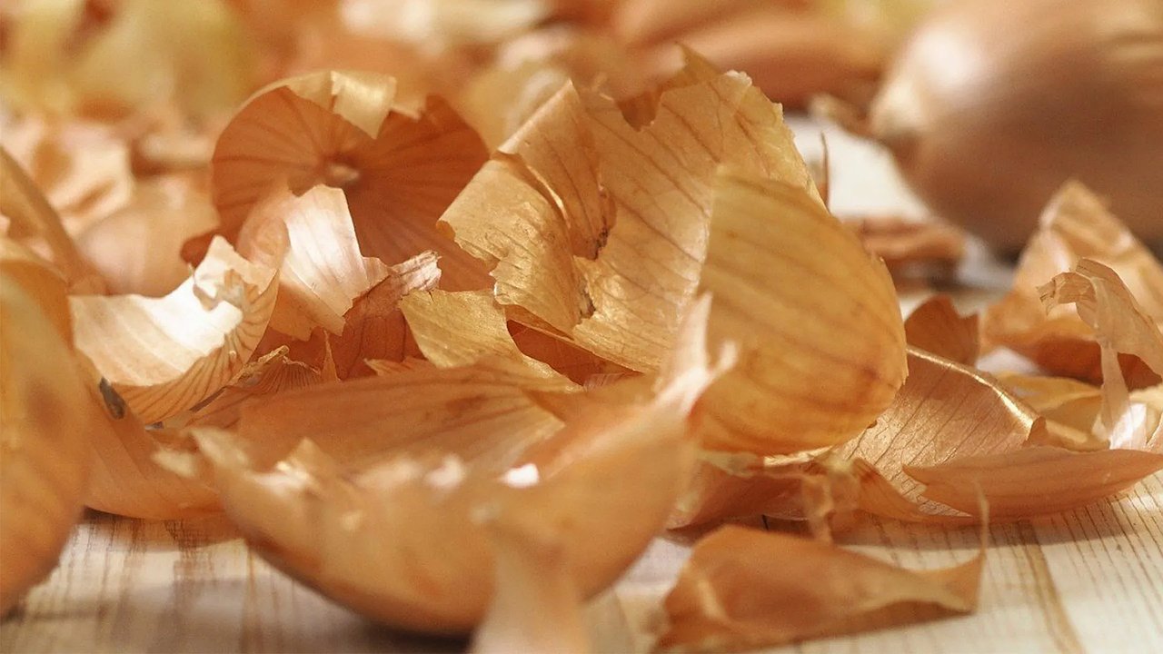 Главная картинка новости: Не выбрасывайте луковую шелуху: секретное удобрение, которое повышает урожайность вдвое