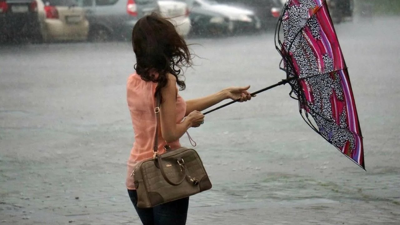 Главная картинка новости: Штормовое предупреждение в Краснодарском крае: чего ждать 24 и 25 августа