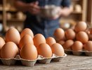 Купил яйца в Чижике за 69 рублей — дома открыл шокирующую правду, говоря честно