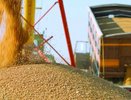 Новороссийский порт бьёт рекорды: экспорт зерна вырос на 11% за неделю