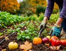 Сентябрь в саду: 7 важных шагов, которые нельзя откладывать до холодов