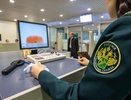Таможня Новороссийска изъяла автобиографию Гитлера на турецком у члена экипажа