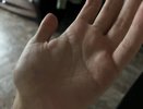 Люди с этой меткой на руке рождены для великих дел: хиромант рассказал, как найти знак лидера у себя на ладони