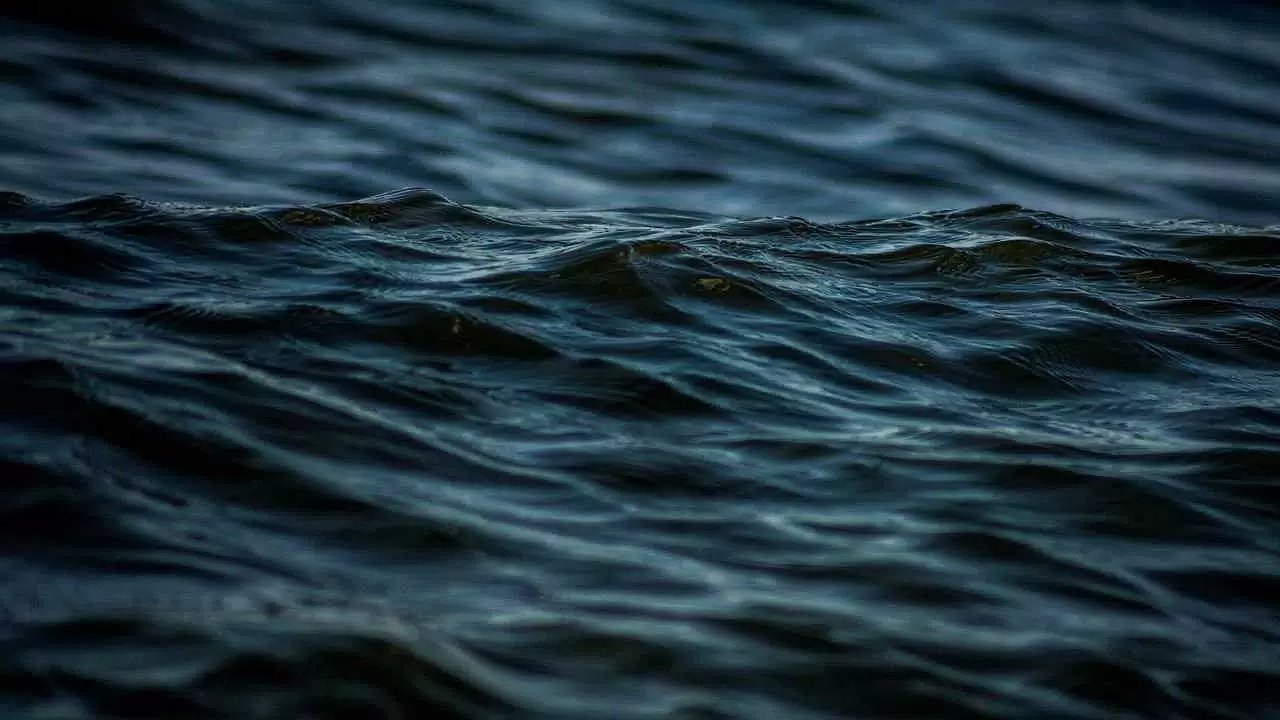 Главная картинка новости: Экологическая тревога в Цемесской бухте: крупный разлив нефти удалось локализовать за сутки