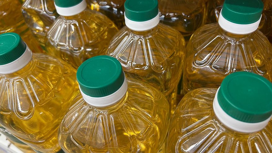 Главная картинка новости: Новороссийск наращивает обороты: экспорт подсолнечного масла в Индию и другие страны резко вырос