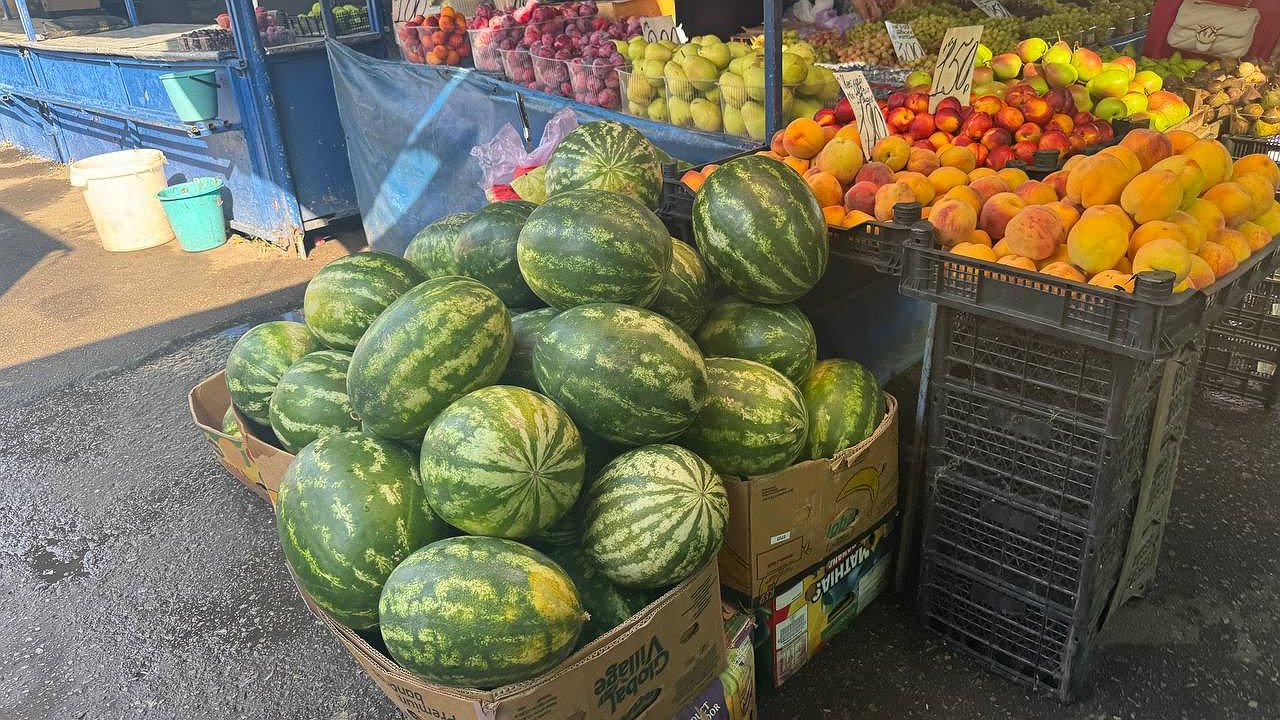 Главная картинка новости: В Новороссийске резко упали цены на арбузы: бахчу продают по 20 рублей за килограмм
