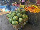 В Новороссийске резко упали цены на арбузы: бахчу продают по 20 рублей за килограмм