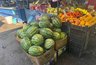 Миниатюра новости: В Новороссийске резко упали цены на арбузы: бахчу продают по 20 рублей за килограмм