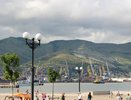 FESCO установила рекорд по перевозке гороха из Новороссийска в Китай