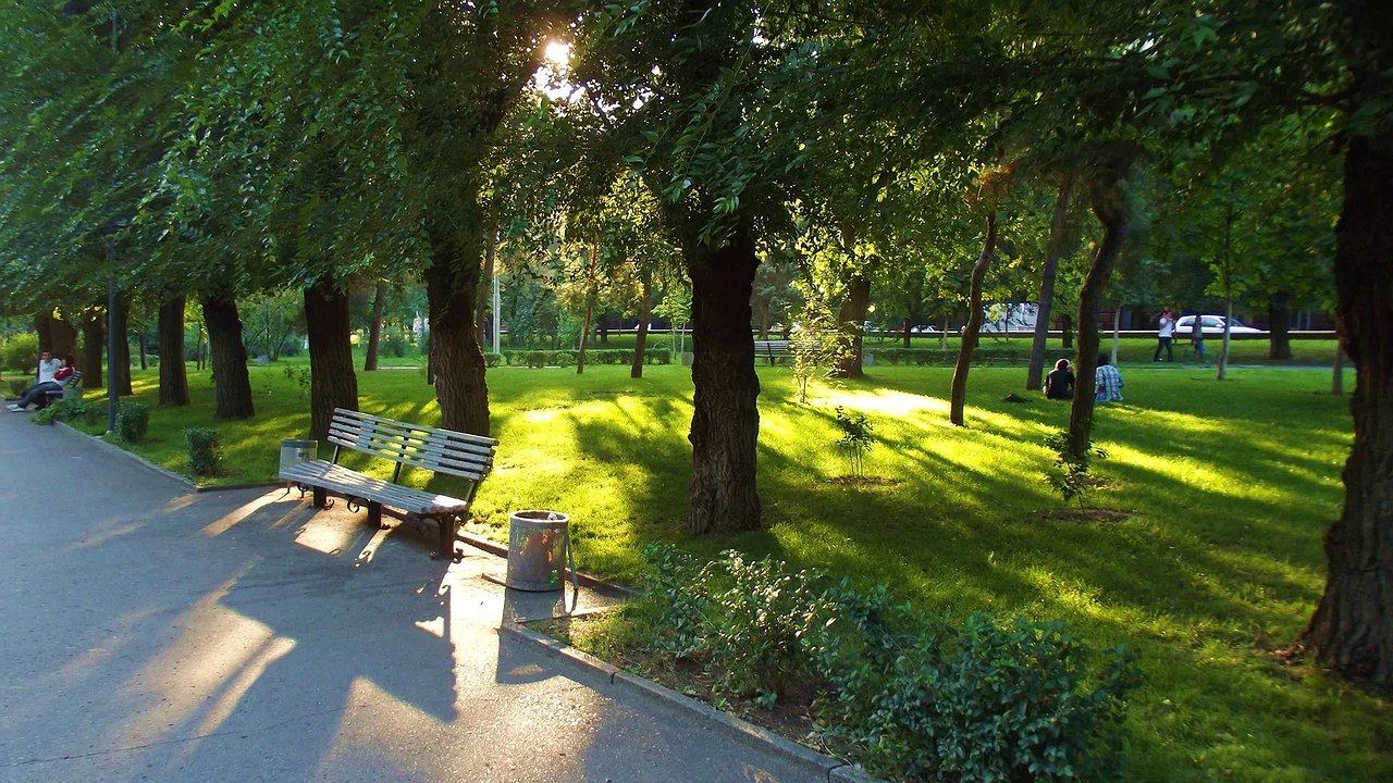 Главная картинка новости: Лёгкая дымка и вечерняя прохлада: какая погода ждёт Новороссийск сегодня