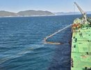Пляжи от Новороссийска до Анапы чистые: КТК опровергло слухи о нефтяных загрязнениях