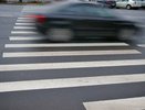 "Осторожно, зебра!": ошибка, которая обходится водителям в 2500 рублей — проверьте себя прямо сейчас