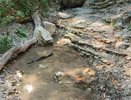«Пена от гниющих растений»: экологи рассказали о реальном состоянии водопадов в Черкесском ущелье