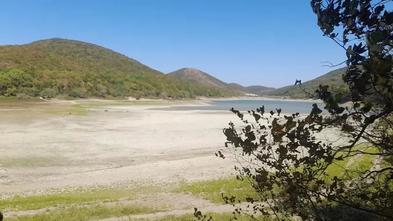 Главная картинка новости: Водный кризис в Новороссийске: водохранилище обмелело до рекордного уровня