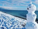 Юг России атакуют первые заморозки: почему МЧС экстренно предупреждает жителей двух регионов