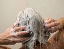 Мои волосы перестали сечься навсегда: делаю эту маску из двух продуктов раз в месяц