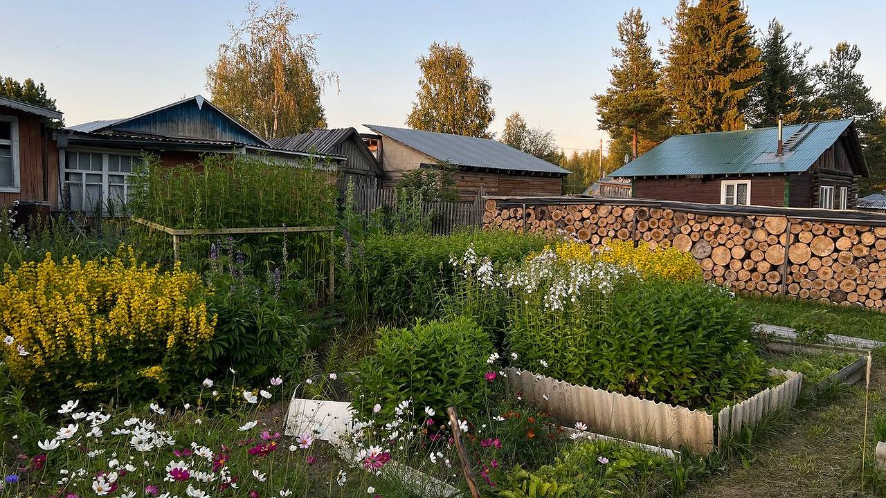 Главная картинка новости: Садовый сезон закрыт: эксперты советуют срочно укрыть эти 5 растений до выходных — чтобы не пожалеть весной