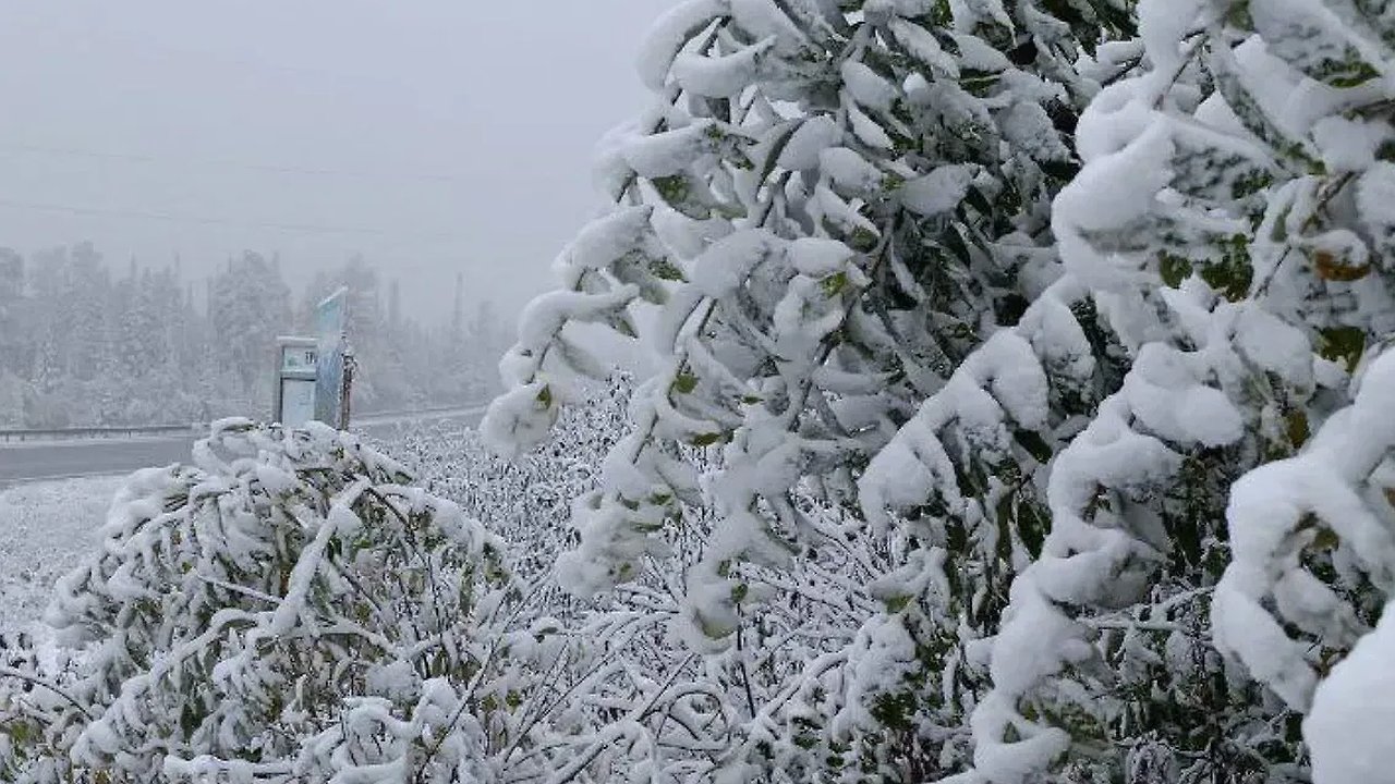 Главная картинка новости: Снег ждите очень скоро: синоптики назвали точную дату старта зимы