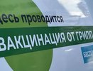 В Новороссийске открыли мобильные пункты вакцинации. Врачи бьют тревогу: заболеваемость ОРВИ на Кубани выросла на 64%