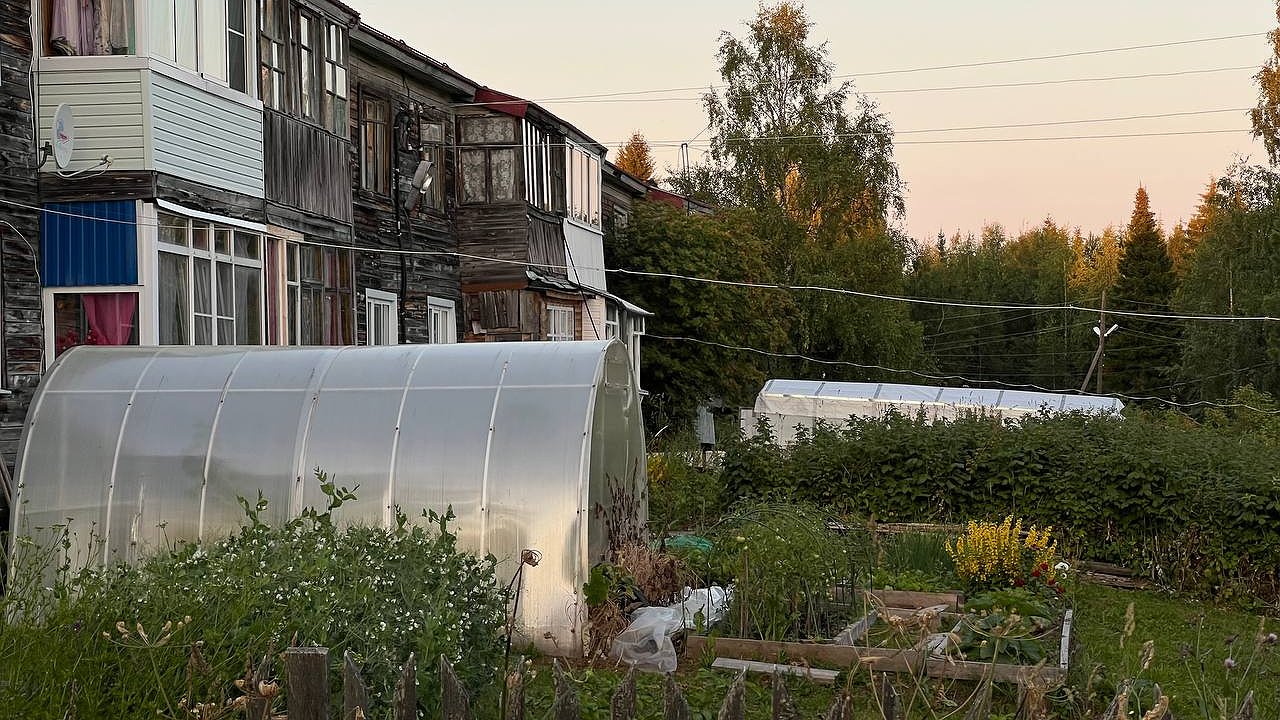 Главная картинка новости: Не просто обрезка: осенний ритуал для роз, после которого они цветут как сумасшедшие