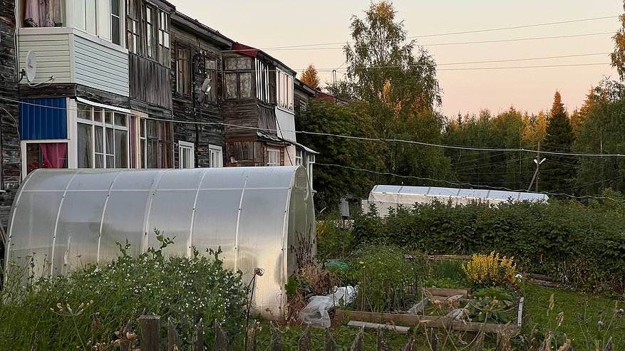Главная картинка новости: Чтобы земля стала плодородной, я перестал жечь ботву. Делаю так, как советовал дед, и результат налицо