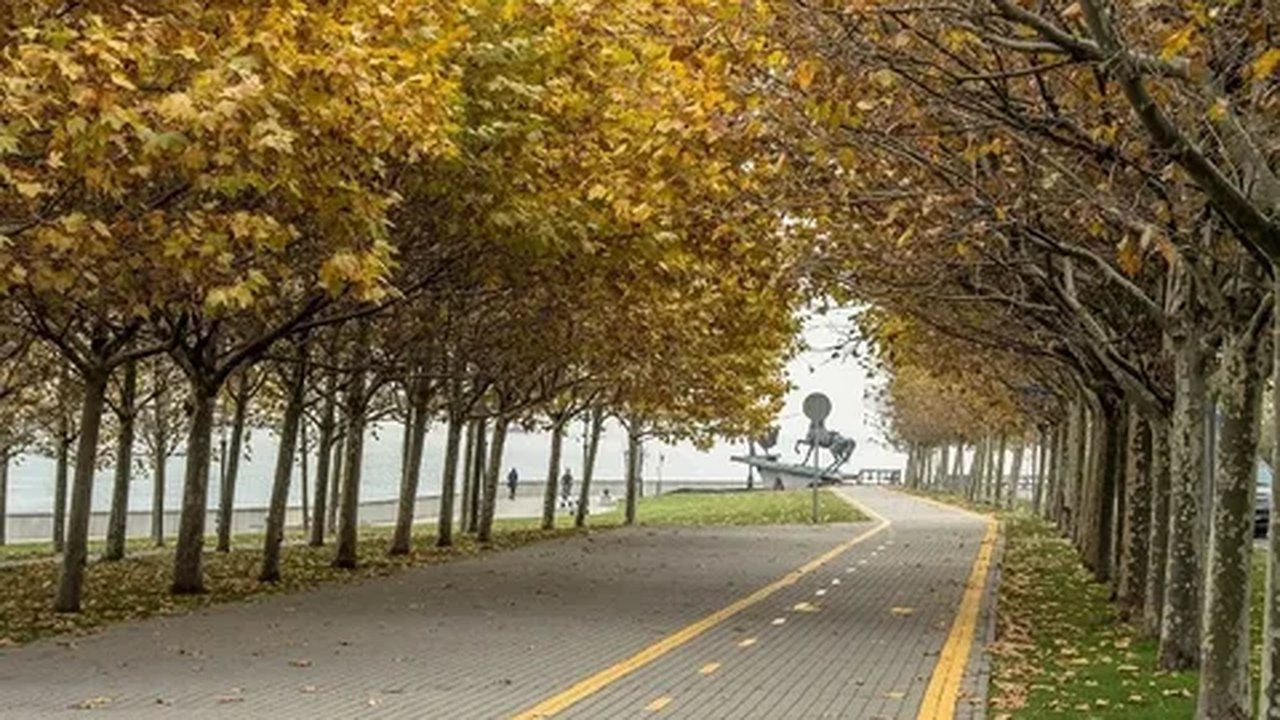 Главная картинка новости: День для уюта: погода в Новороссийске настраивает на спокойный лад