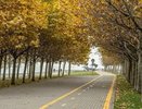 День для уюта: погода в Новороссийске настраивает на спокойный лад